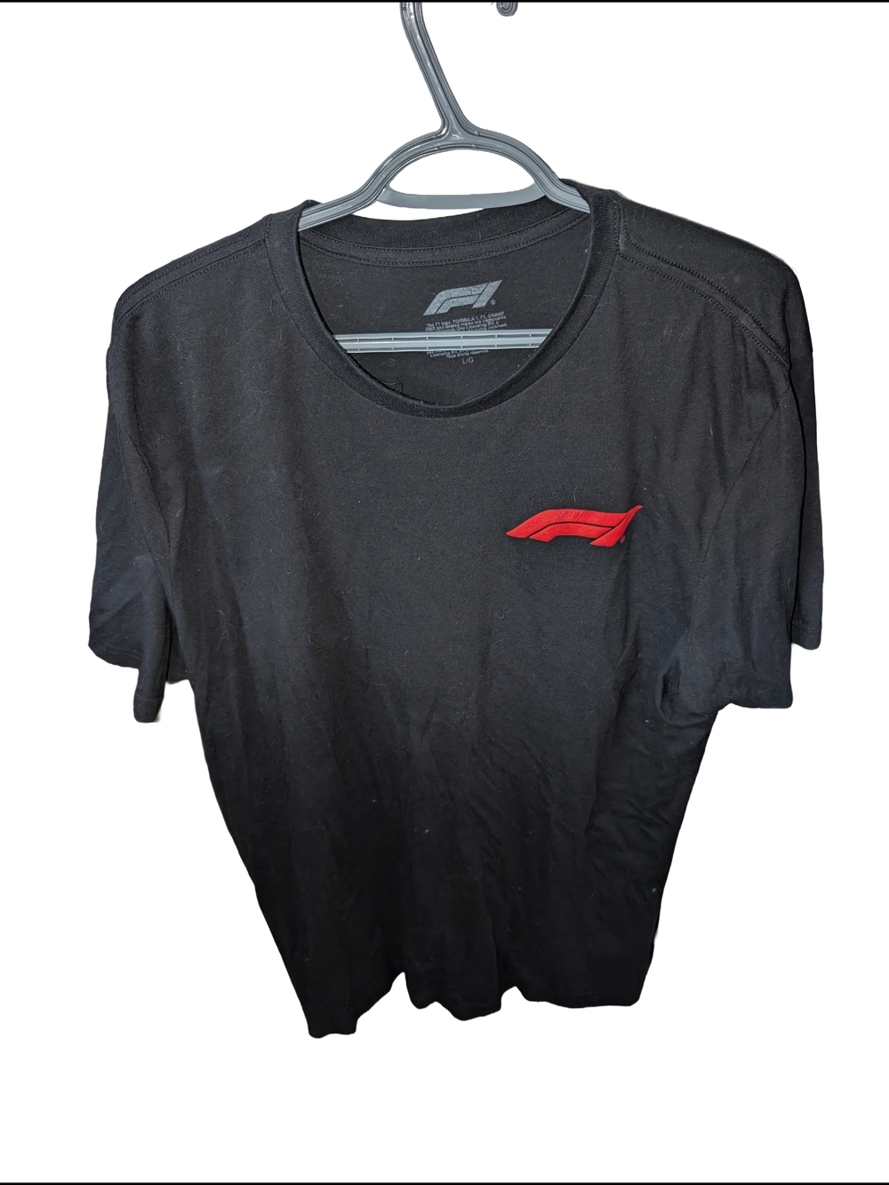Formula 1 Large Logo Back T-shirt